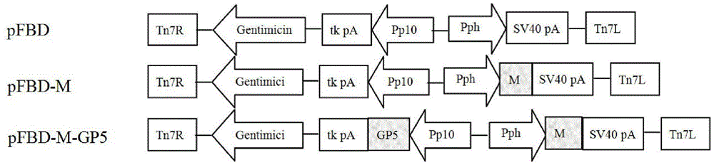 PRRSV (porcine reproductive and respiratory syndrome virus) virus-like particles with immunogenicity as well as preparation and application thereof