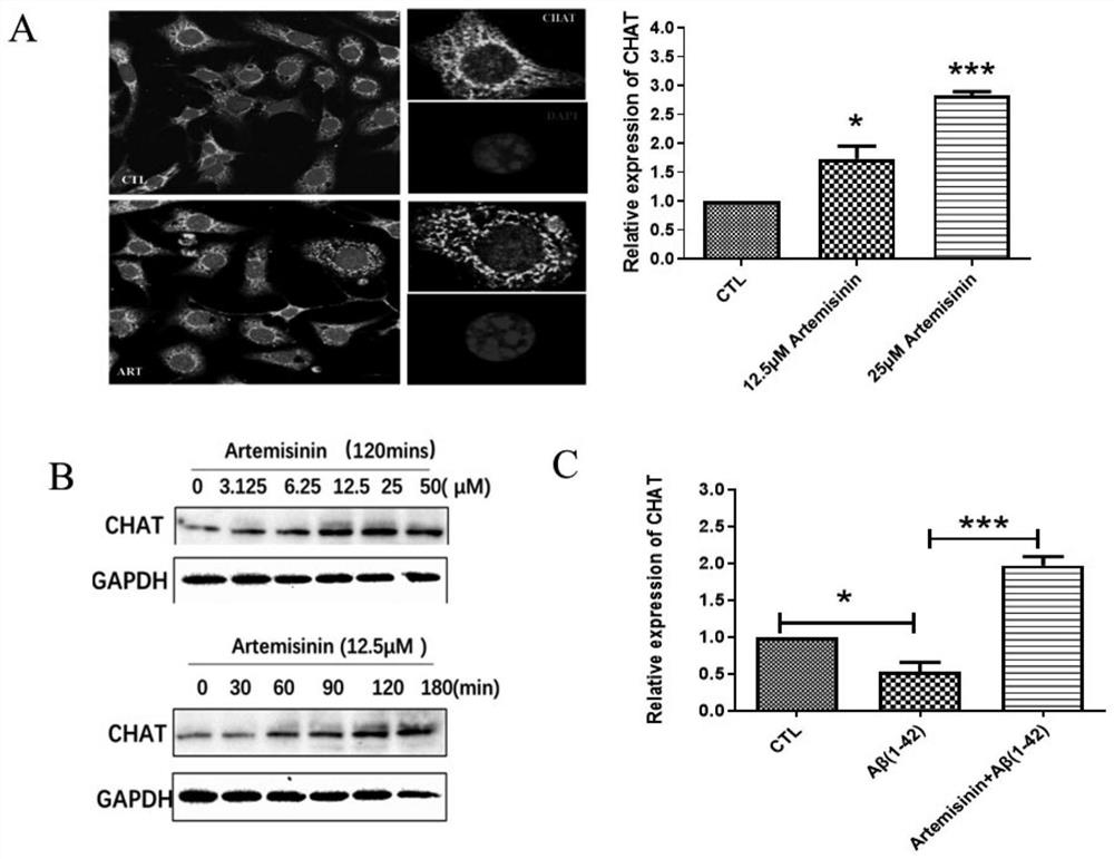 Application of artemisinin and derivatives thereof in preparation of ChAT activity enhancer