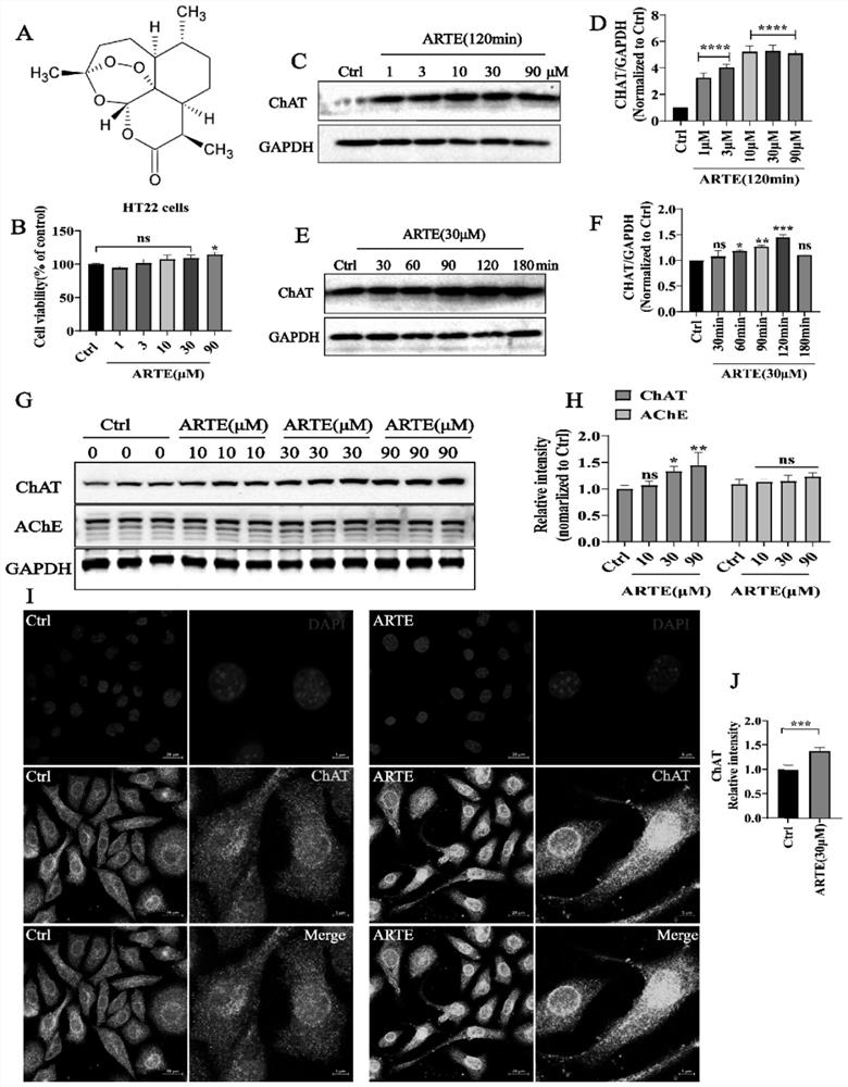 Application of artemisinin and derivatives thereof in preparation of ChAT activity enhancer