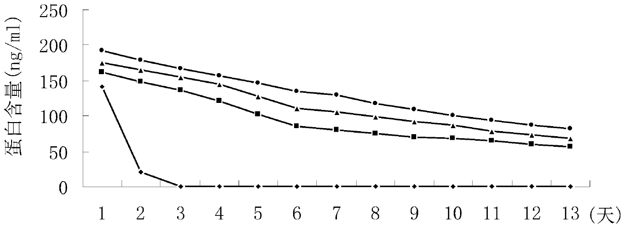 Anti-oncoprotein endostatin derivative