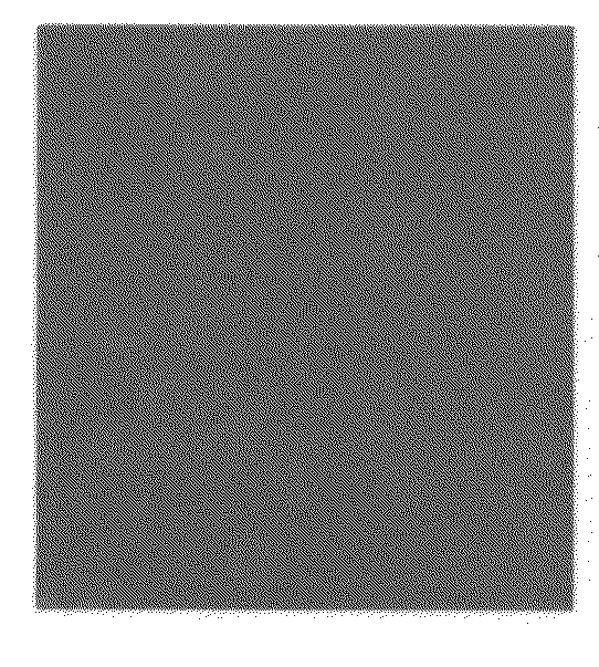 Therapeutic cell medicine comprising skin tissue derived stem cell