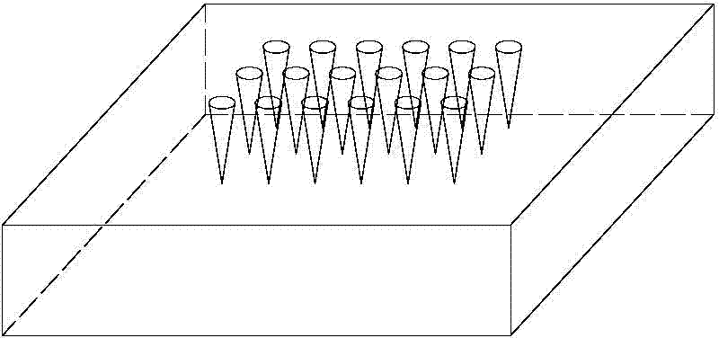 Microneedle patch convenient for administrating animal vaccine and preparation method of microneedle patch