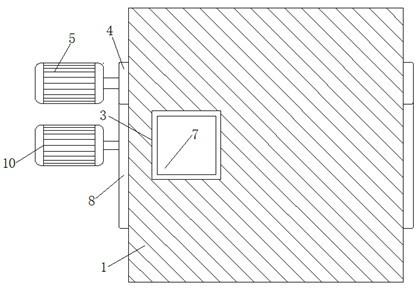 Feeding device for squeezer