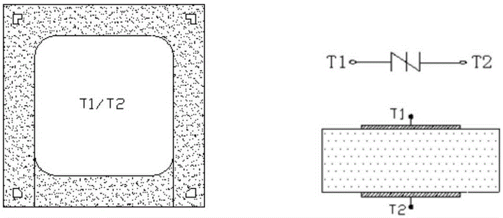 Semiconductor chip integrated element