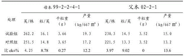 Method for improving hybrid seed production yield and quality of common head cabbages