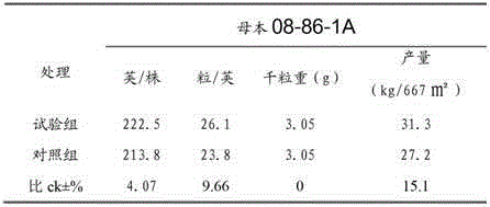 Method for improving hybrid seed production yield and quality of common head cabbages