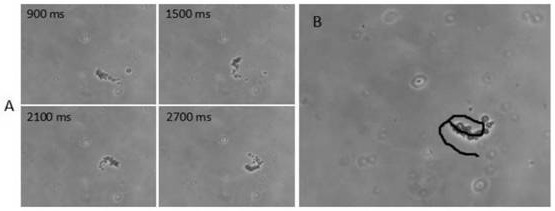 A mesoporous-macroporous nanomotor and its preparation method and application