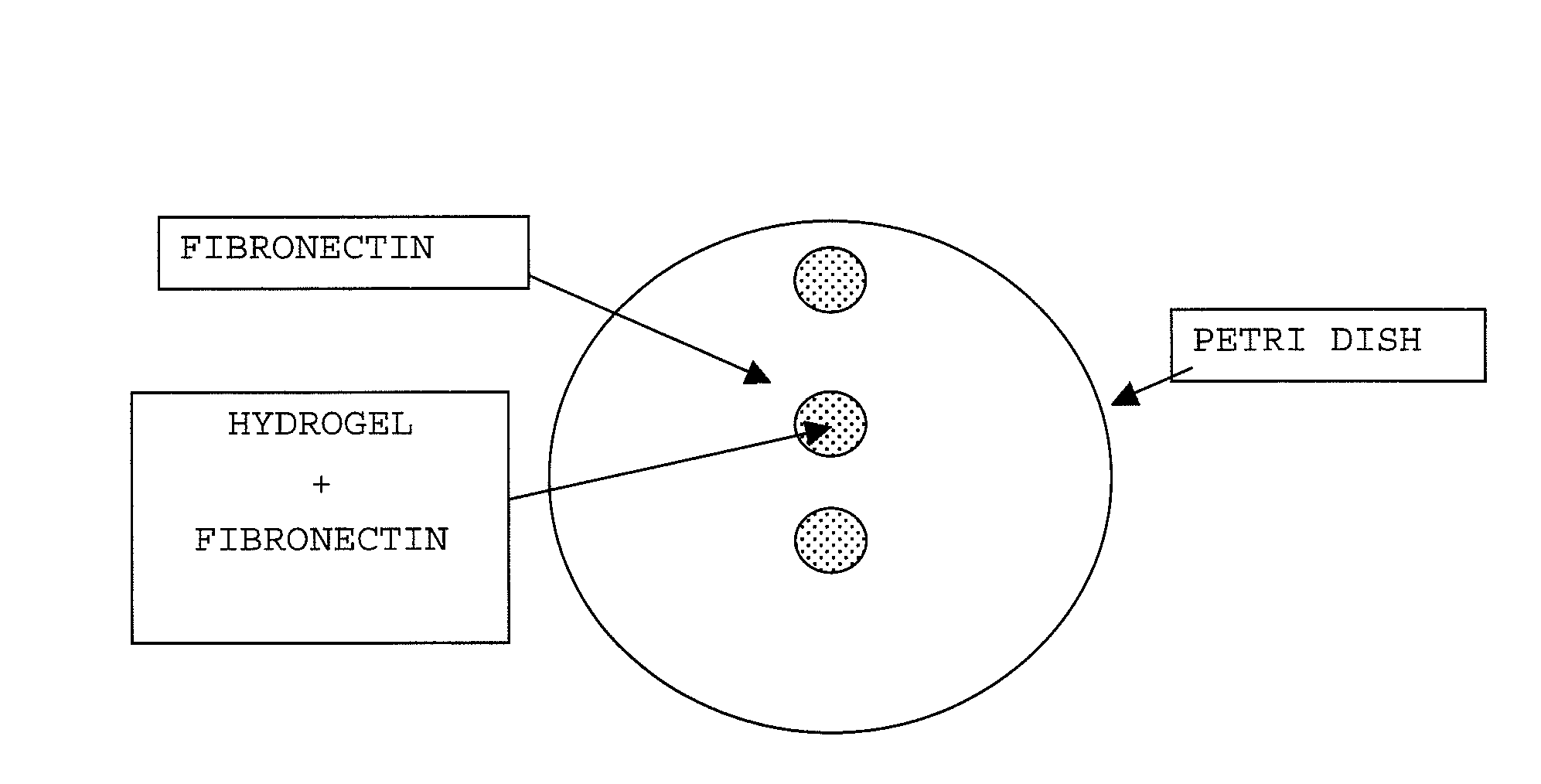 Cellulose derivative and method for production thereof