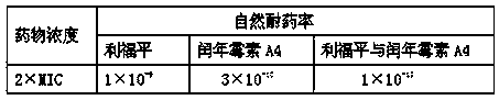 Composition containing rifampicin and lipiarmycin and application of composition