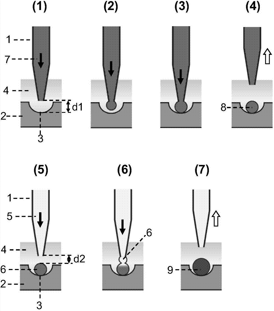 Semi-contact under-oil continuous droplet sample applying and liquid adding method