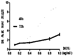 Signal peptidase inhibitor F25P preproinsulin and application thereof to preparation of tumor treatment medicine