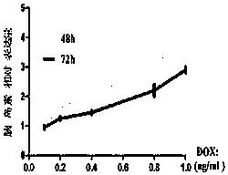 Signal peptidase inhibitor F25P preproinsulin and application thereof to preparation of tumor treatment medicine