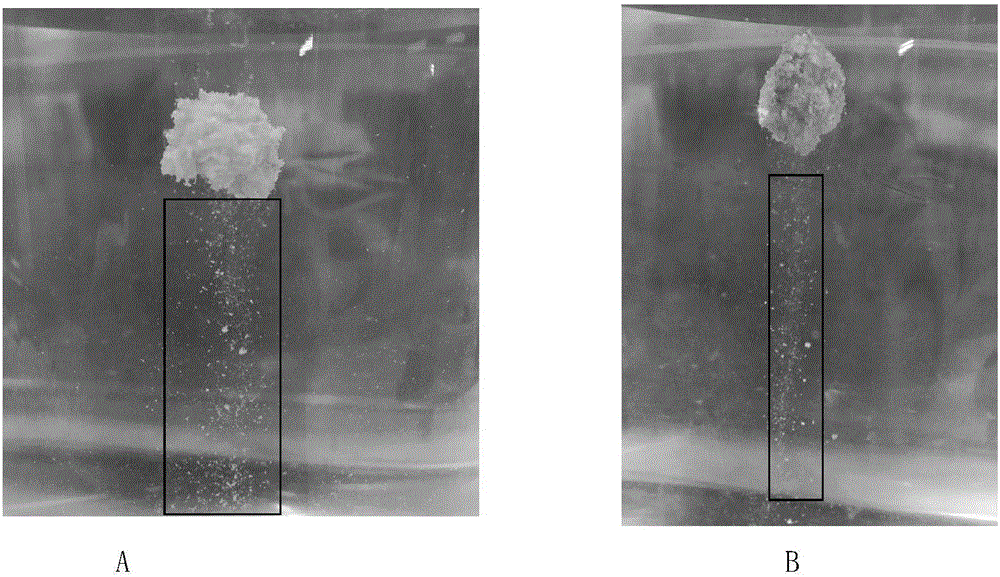 Chinese herb phagostimulating fishing bait and preparation method thereof