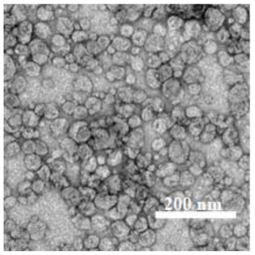 A kind of phospholipid nano disc chromatography medium and its preparation method and application