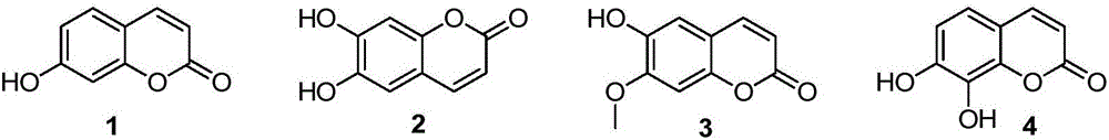 3-(2-aryl-1H-indol-3-yl)-4-hydroxycoumarin derivative and synthetic method thereof