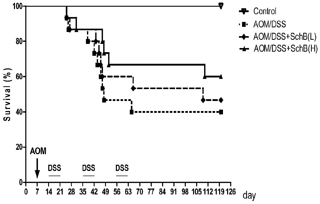 Application of schisandrin B in preparation of drugs for preventing colitis or colon cancer