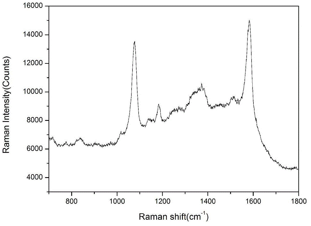 Surface enhanced Raman scattering tag based on gold and silver nanowire array and preparation method thereof