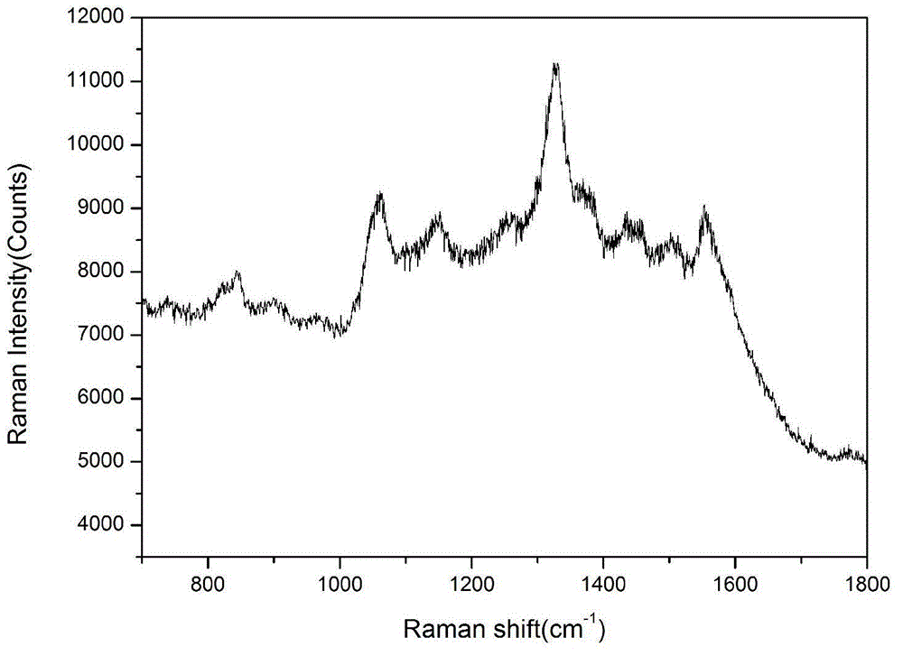 Surface enhanced Raman scattering tag based on gold and silver nanowire array and preparation method thereof