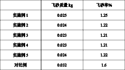 Texture coating and preparation method thereof