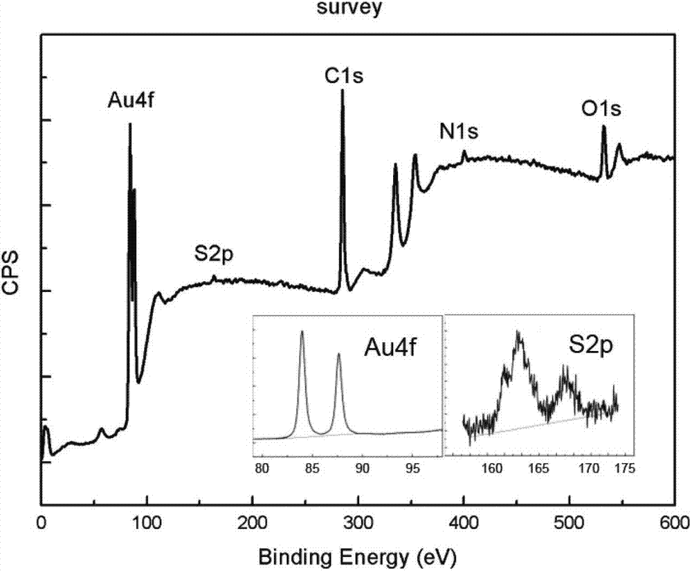 Phenyl modified material for inhibiting cancer cell proliferation