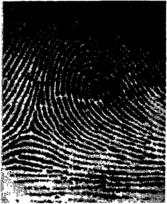 Direction filtering reinforcement method of fingerprint image