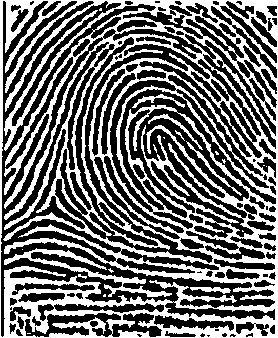 Direction filtering reinforcement method of fingerprint image