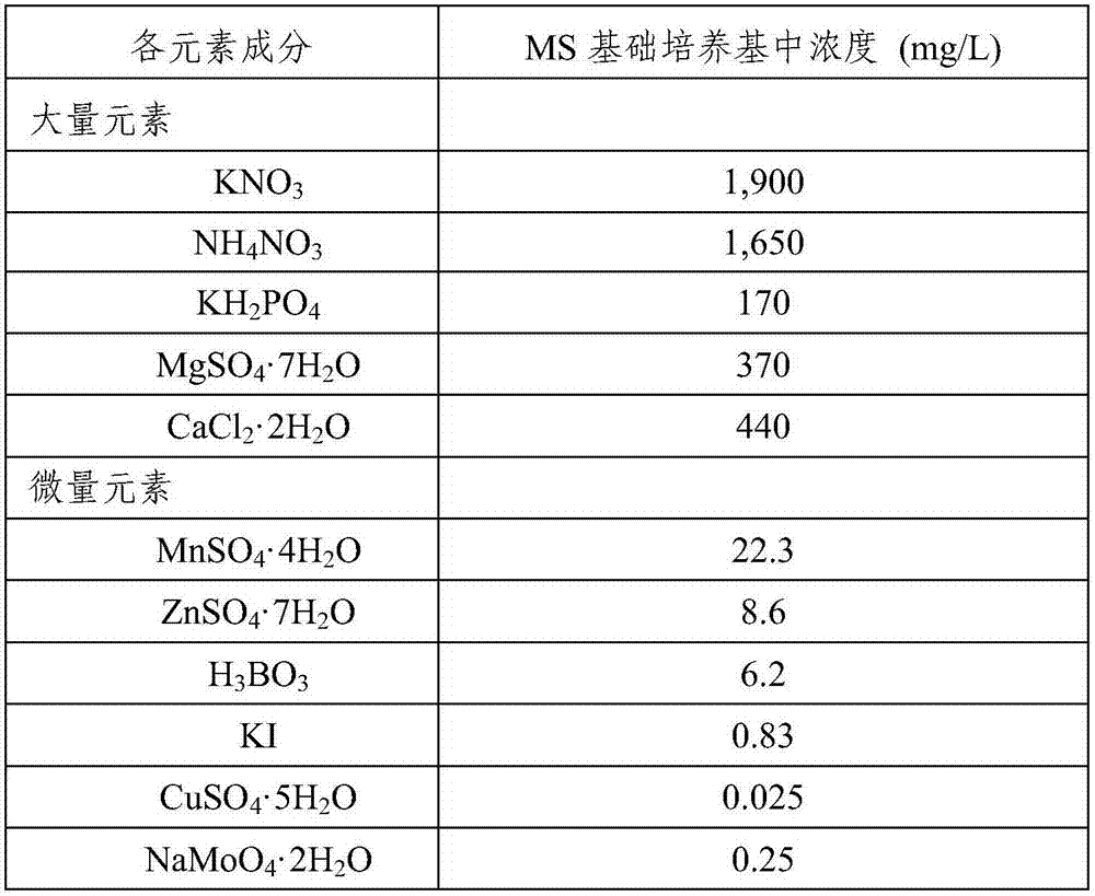 A kind of rice callus differentiation medium and its preparation method and application