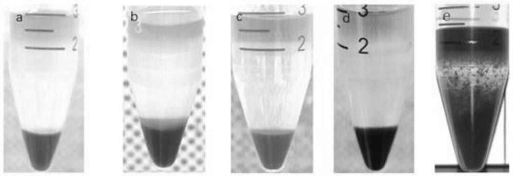 Separation method of tree shrew peripheral blood mononuclear cells