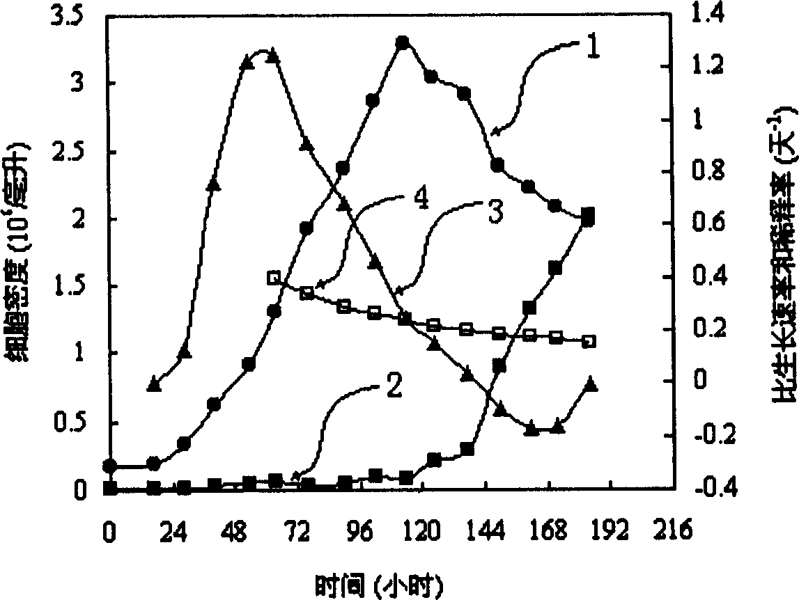 Animal cell feeding culture process