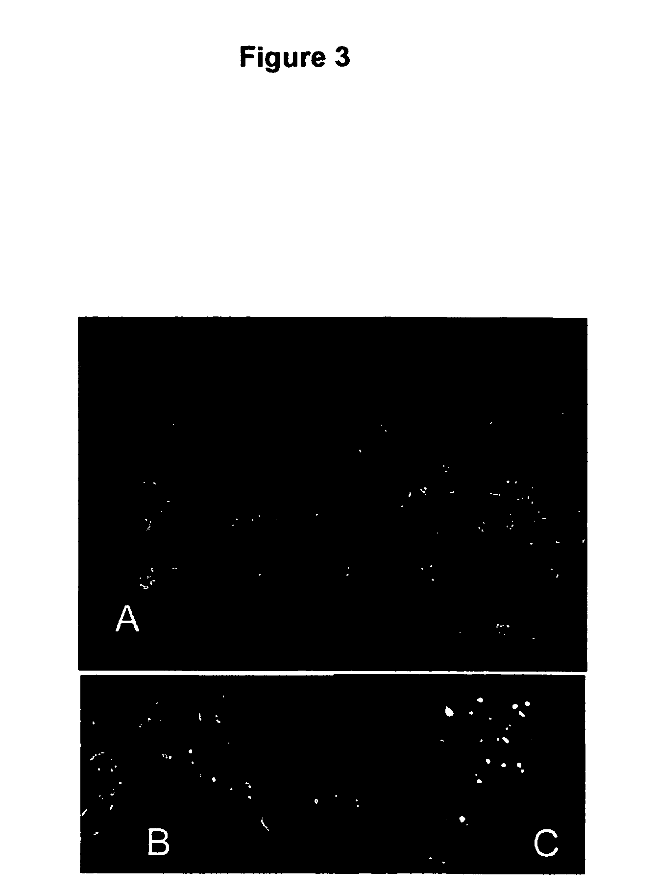 Methods and compositions for delivering polynucleotides