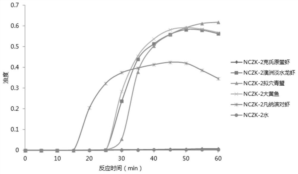 Shrimp health system visual rapid detection kit based on LAMP technology