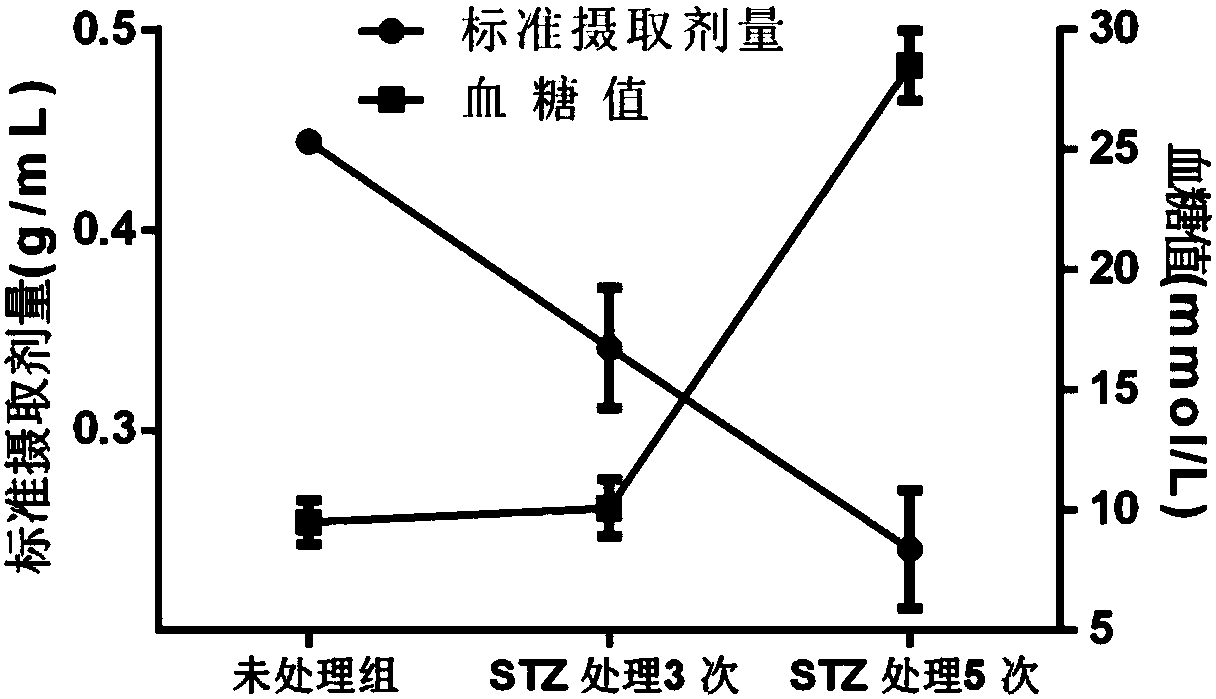 Radioactive molecular probe and application thereof in detection of living pancreas islets