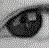 Ellipse-detection-based iris detection method