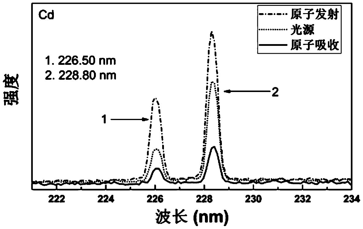 Inductively coupled plasma atomic mass spectrometry and spectrum simultaneous detection system and method