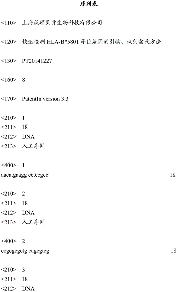 Primer, kit and method for quickly detecting HLA-B*5801 allele