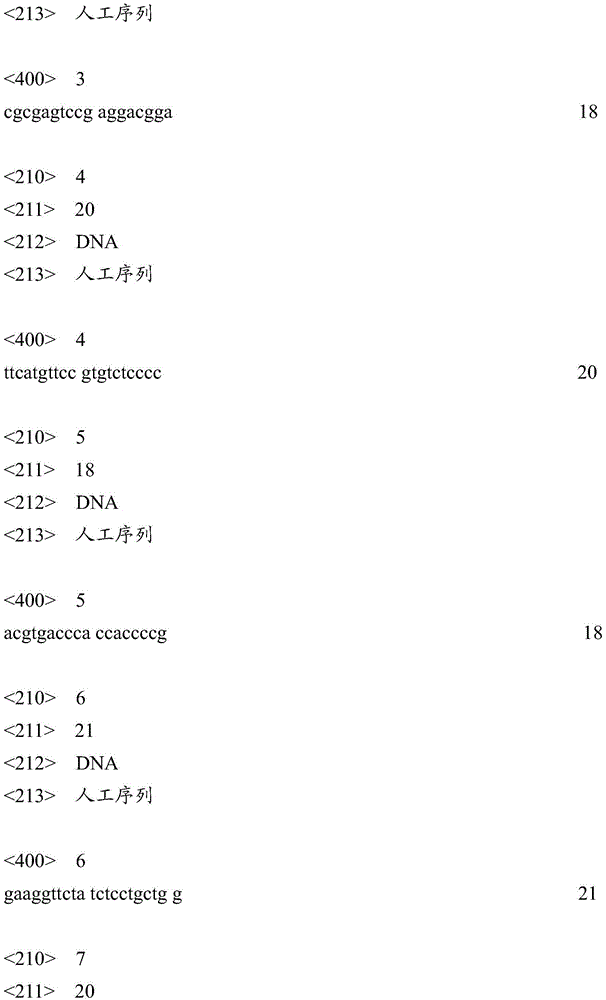 Primer, kit and method for quickly detecting HLA-B*5801 allele