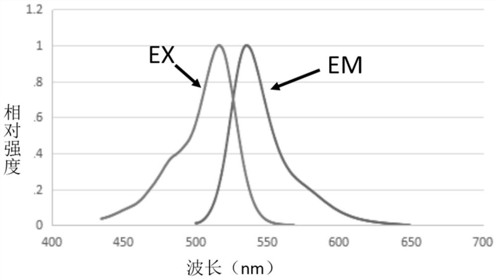 Hydrophilic anthracene fluorescent dye and synthesis method thereof