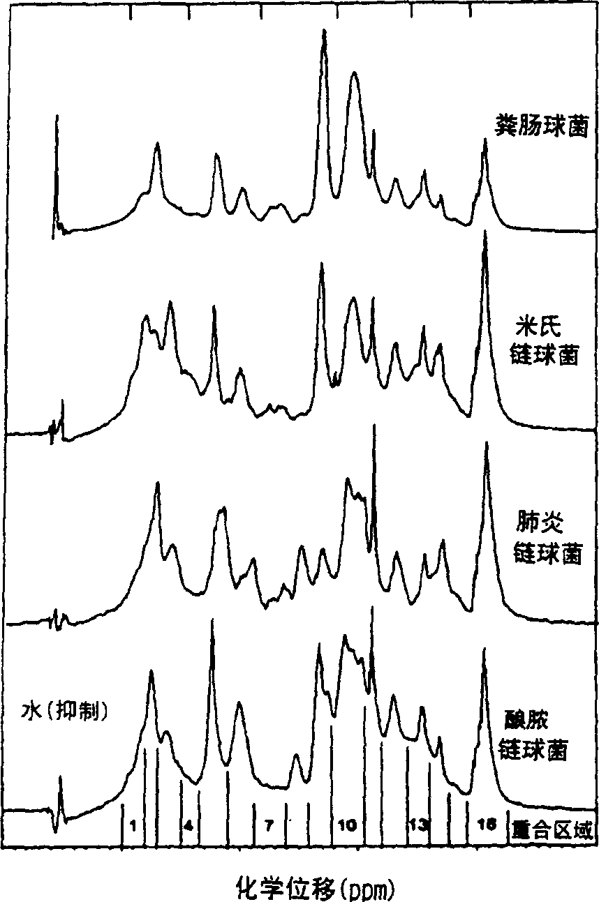 Magnetic resonance spectroscopy to identify and classify microorganisms