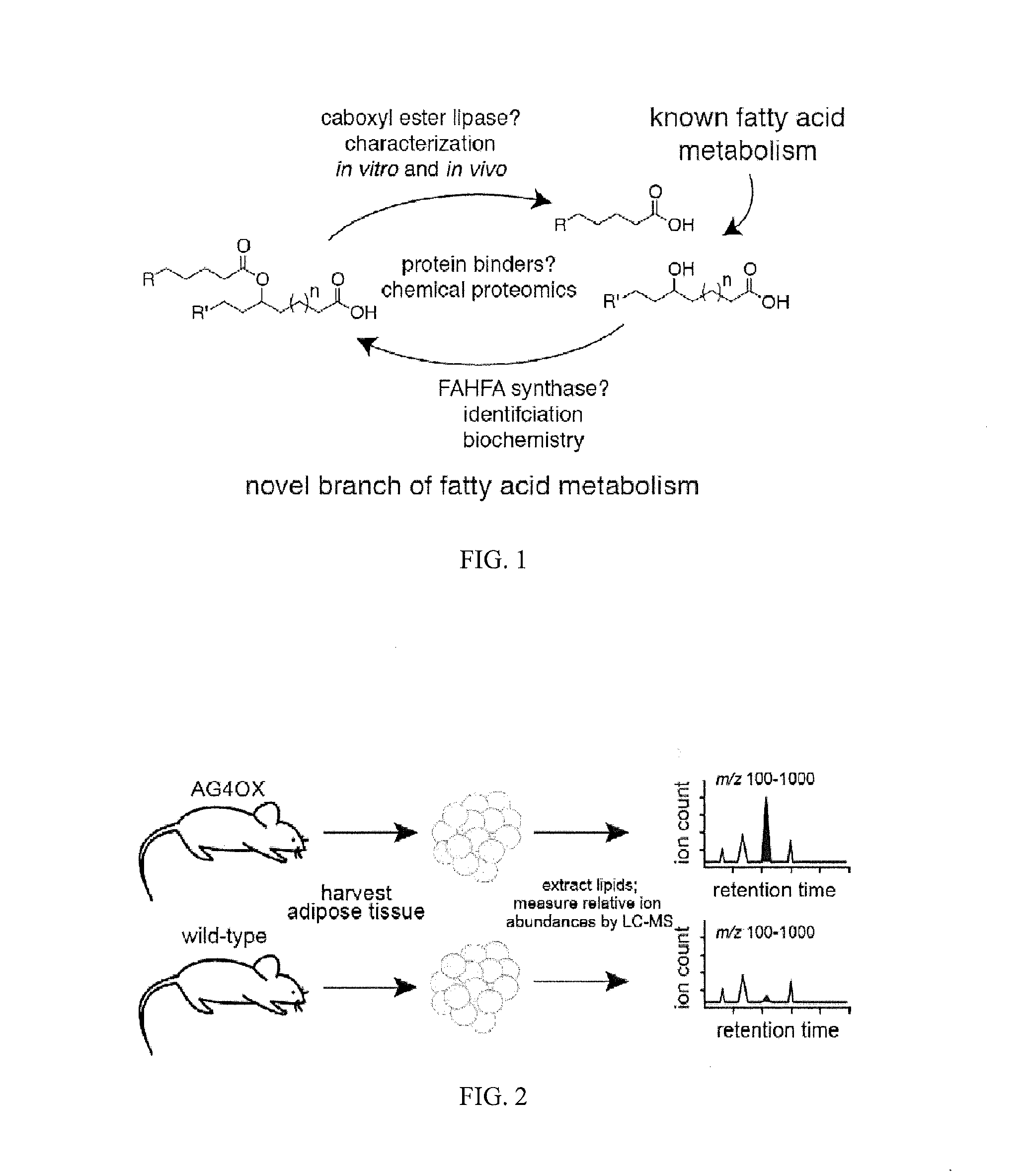 Lipids That Increase Insulin Sensitivity And Methods Of Using The Same