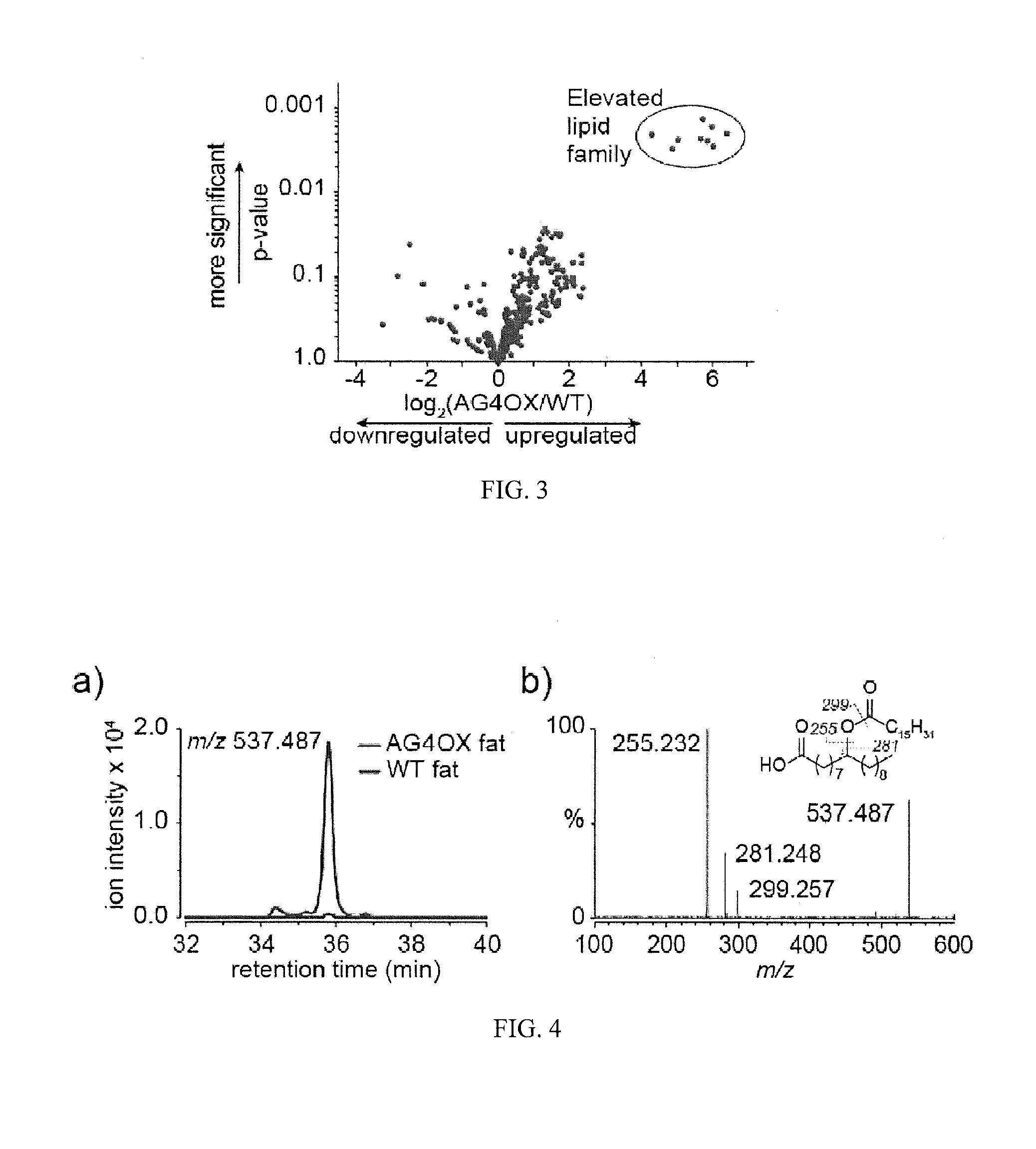 Lipids That Increase Insulin Sensitivity And Methods Of Using The Same