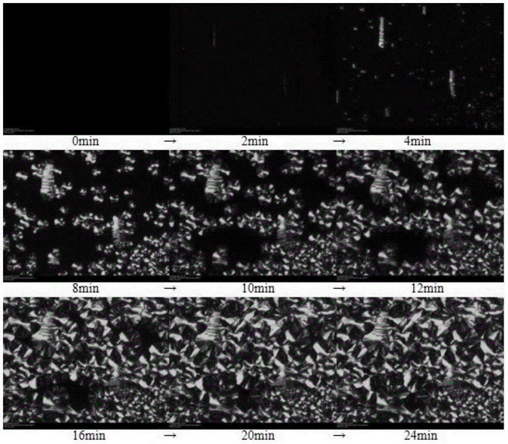 Method for accelerating crystallization of isotactic poly 1-butylene by shear flow