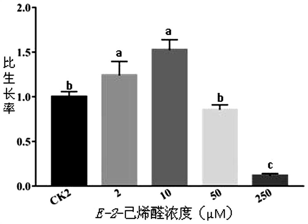 Astragalus growth-promoting endophytic bacteria and its growth-promoting method and application