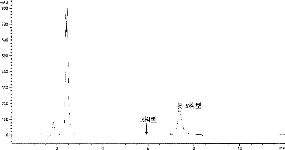 New (R)-transaminase from Fusarium oxysporum and application thereof