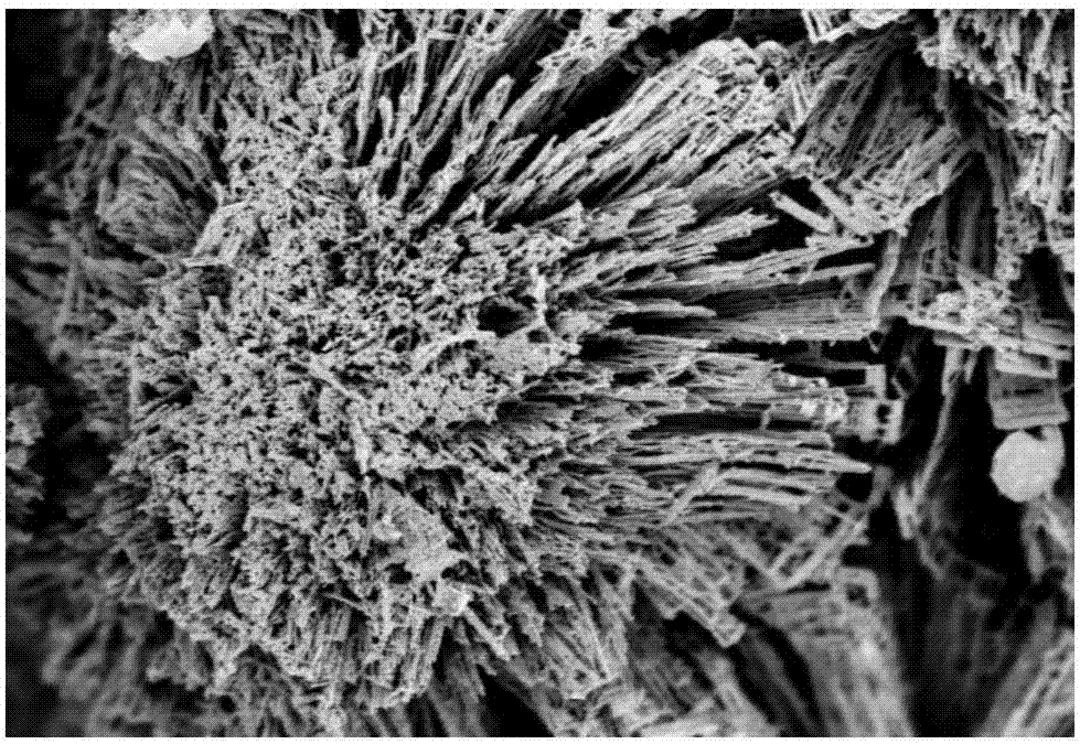 Catalyst for hydrogenation synthesis of methanol by using carbon dioxide and preparation and application thereof