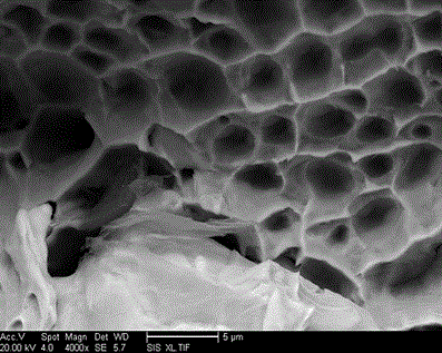 Method for preparing graphene reinforced copper base composite material