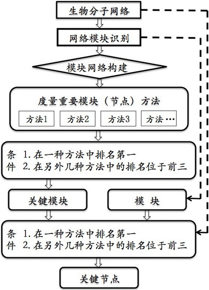 Method for identifying key module or key node in biomolecular network