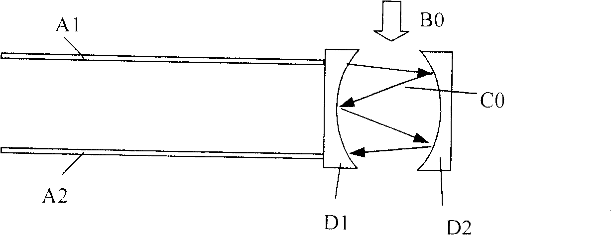 Microsystem optical fiber gas sensor, sensing system and sensing method