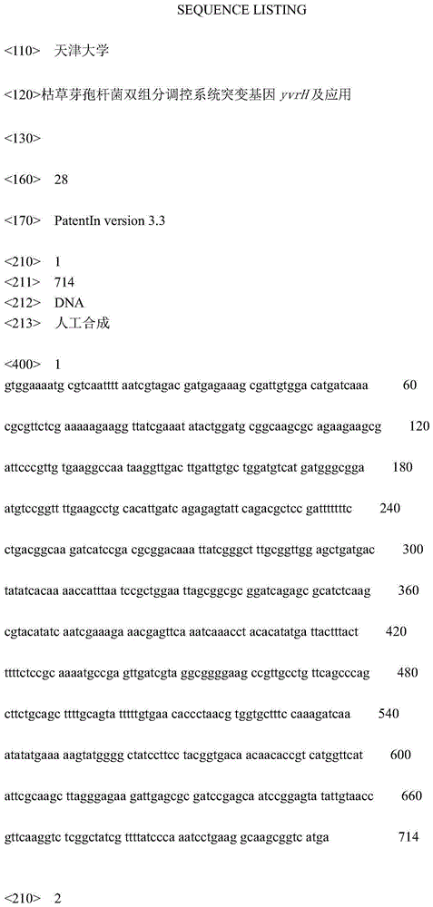 Two-component regulatory system mutant gene yvrh of Bacillus subtilis and its application