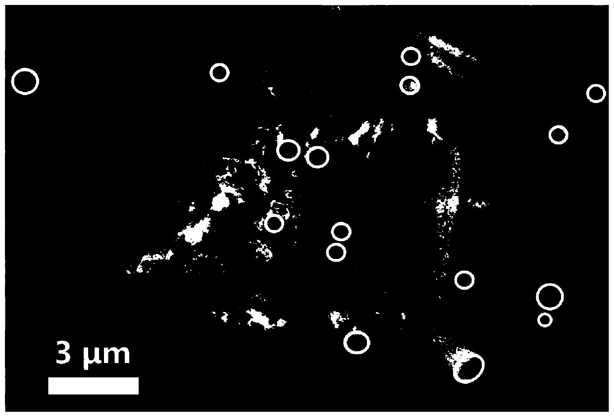 Tubular TiO2/carbon lithium ion battery negative electrode material and preparation method and application thereof