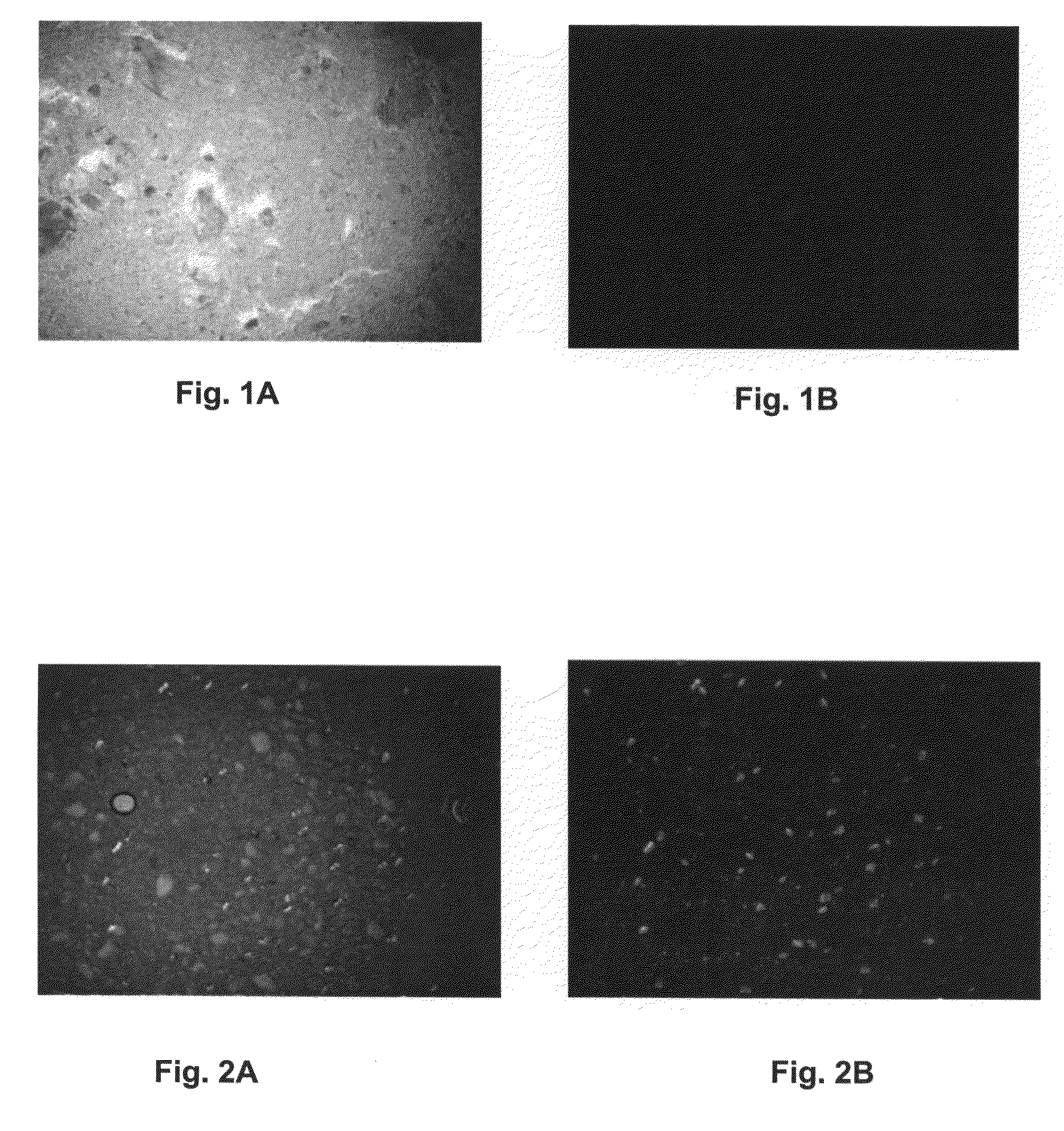 Washing-fast smoldering-suppressing compositions